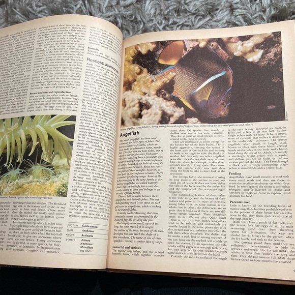 Vintage Funk and Wagnalls Wildlife Encyclopedia 1 hardback - Picture 7 of 10